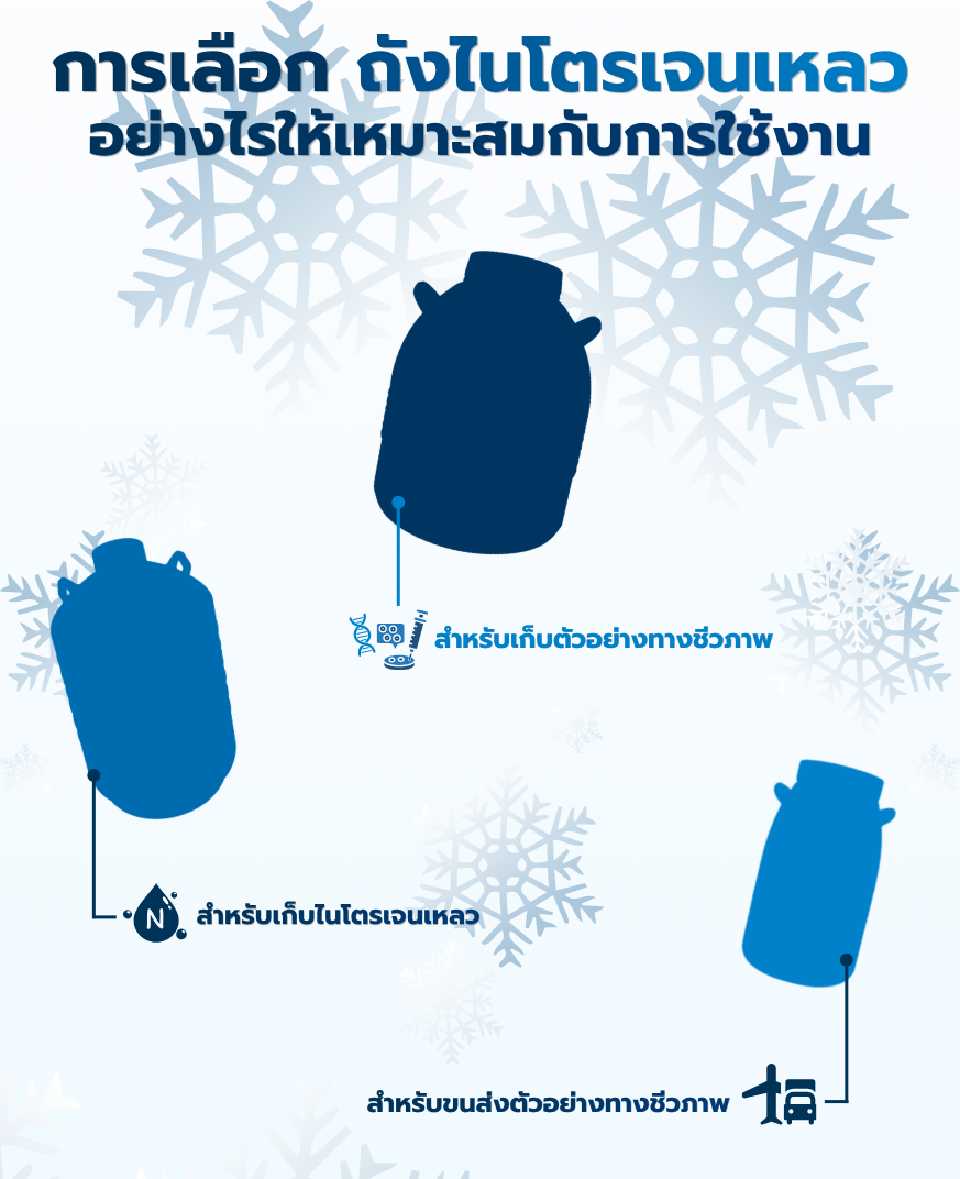 การเลือกถังไนโตรเจนเหลว เลือกอย่างไรให้เหมาะกับการใช้งานจริง?